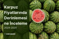 Karpuz Fiyatlarında Derinlemesine İnceleme: 2024-2025 Kapsamlı Fiyat Araştırması